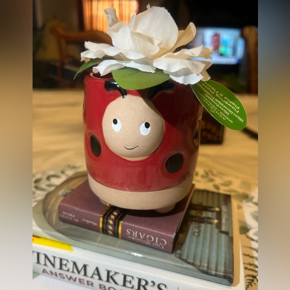 Ladybug Pot - Picture 5 of 11